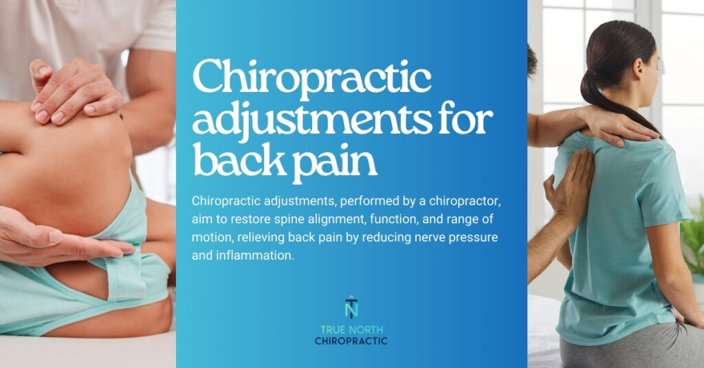 Chiropractic Adjustments For Back Pain | True North Chiropractic