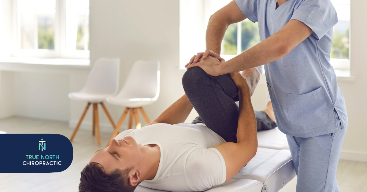 The Basics of Chiropractic Care | True North Chiropractic