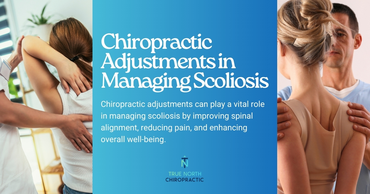 South Morang Chiropractic Care for Managing Scoliosis | True North Chiropractic