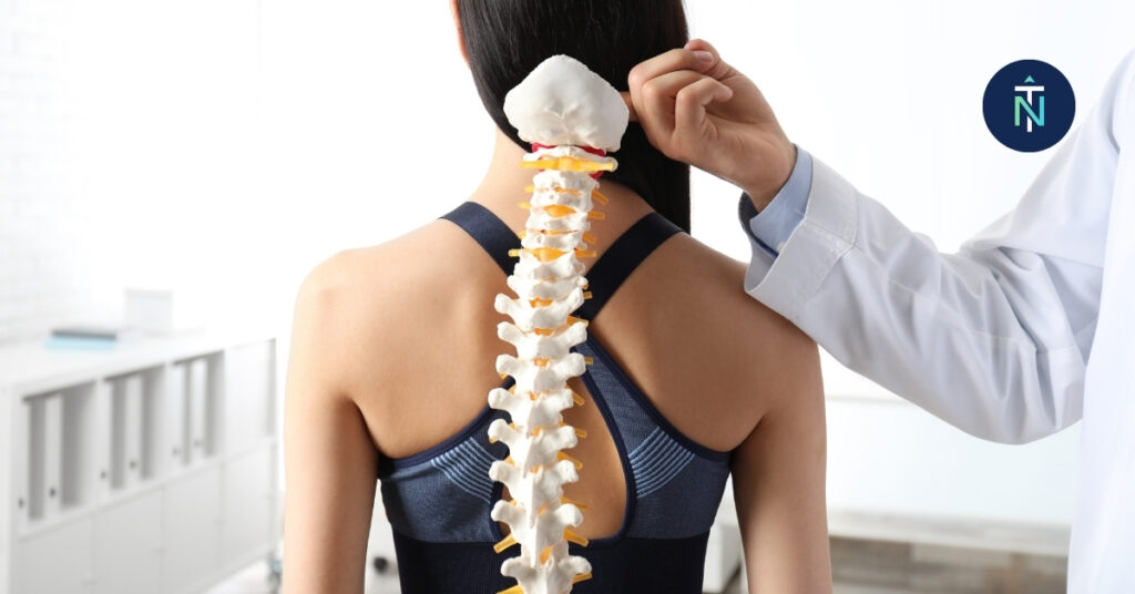 Chiropractic Care in South Morang | True North Chiropractic