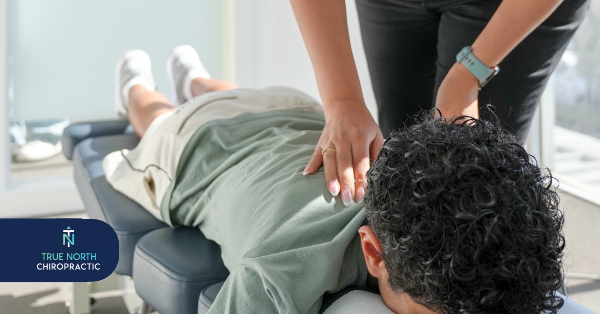 South Morang Chiro for Back Pain and Neck Pain Relief | True North Chiro