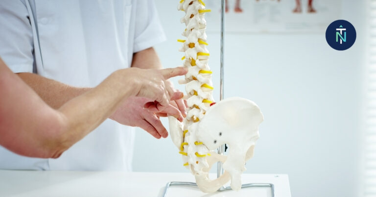 The Basics of Chiropractic Care | True North Chiropractic